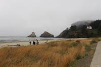 Blick auf die Pazifikküste