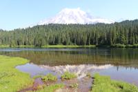 Blick auf Mount Rainier