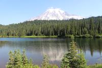 Blick auf Mount Rainier