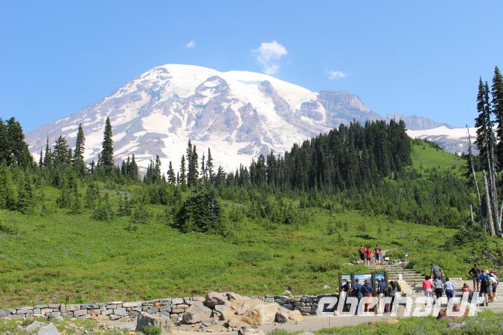 Blick auf Mount Rainier vom Besucherzentrum