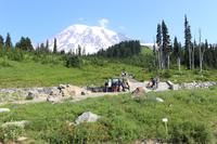 Blick auf Mount Rainier vom Besucherzentrum