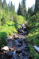 Wanderung am Nisqually Vista Trail