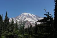Blick auf Nisqually Gletscher