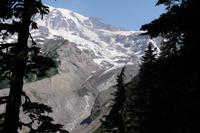 Nisqually Gletscher