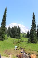  Pause nach Wanderung am Nisqually Vista Trail