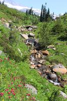 Mount Rainier National Park