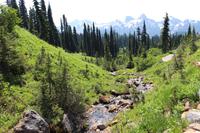 Mount Rainier National Park