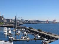 Blick auf den Hafen in Seattle
