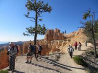 Bryce NP auf dem Fairyland Trail