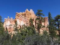 Bryce NP auf dem Fairyland Trail