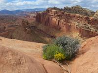 oberhalb des Castle im Capitol Reef