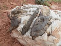 Sandsteinformen im Capitol Reef NP
