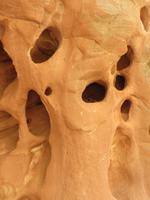 Sandsteinformen im Capitol Reef