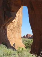 der Pinien Arche im Arches NP