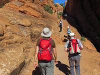 Wandern im Arches NP