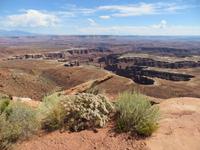 Canyonland