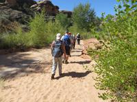 im verlorenen Canyon