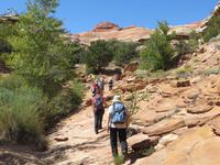 im verlorenen Canyon