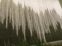 Las Vegas: Seidenvorhang aus Wasser