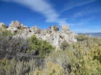 am Mono Lake