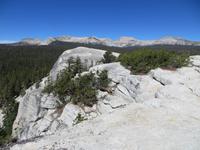 auf dem lembert Dome im Yosemite NP