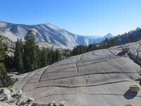 Blick zu Clouds Rest