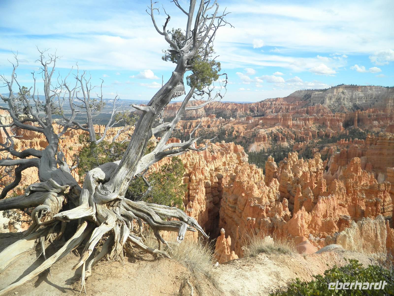 Bryce Canyon