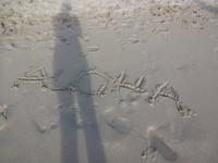 Aloha - Waikiki Beach