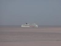 Ankunft der Pride of America in Honolulu