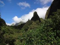 Maui - Ioa Valley - Iao Needle