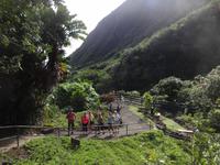 Maui - Ioa Valley - Iao Needle