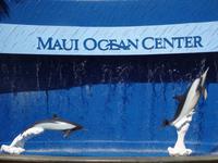 Maui Ocean Center 