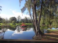 Big Island (Hawaii) - Hilo