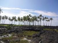 Big Island (Hawaii) - Kona - Pu'uhonua O Honaunau