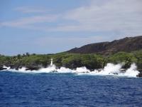 Big Island (Hawaii) - Kona - Bootsfahrt