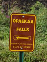 Kauai - Opaekaa Wasserfall - Wailua Tal