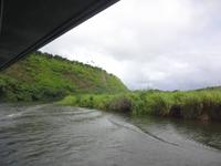 Kauai - Wailua Fluss - Bootsfahrt