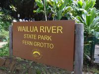 Kauai - Wailua Fluss - Farn-Grotte