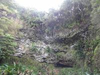 Kauai - Wailua Fluss - Farn-Grotte