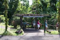 Hilo - Tropischer Botanischer Garten