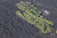 Hilo - Helikopterrundflug grüne Pflanzeninsel inmitten von Lava