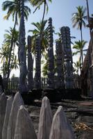 Pu'uhonua o Honaunau National Historical Park