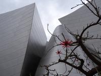 Walt Disney Concert Hall