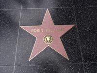 Hollywood Walk of Fame