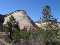 Zion Nationalpark - Checkerboard Mesa
