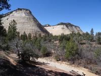 Zion Nationalpark - Checkerboard Mesa