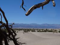 Mesquite Sand Dunes