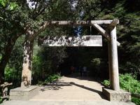 Muir Woods Nationalpark