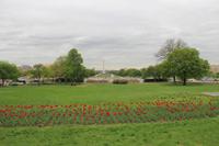 Washington D.C. - National Mall