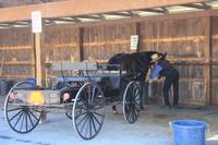 Lancaster - bei den Amischen